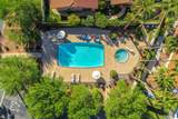 272 Avenida Del Sol - Photo 45