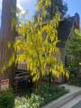 257 Corona Circle - Photo 74