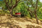 3348 Walnut Ln - Photo 34