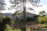 5636 Whitlock - Photo 4