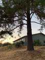 5636 Whitlock - Photo 5