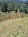 5636 Whitlock - Photo 9