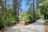 311 Hollow Oak - Photo 12