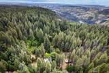 311 Hollow Oak - Photo 28