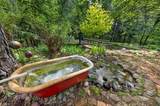 311 Hollow Oak - Photo 38