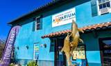 241 San Miguel Street - Photo 39