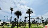 701 Ocean Avenue - Photo 49