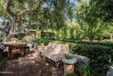 20666 Cheney Drive - Photo 40