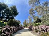 1509 Le Flore Drive - Photo 11