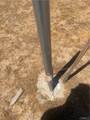 23421 Colony Road - Photo 8