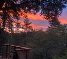 24945 Marion Ridge Drive - Photo 50