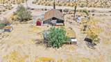 2620 Oasis Street - Photo 54