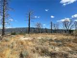 55 Cedar Tree - Photo 11