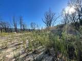 55 Cedar Tree - Photo 2