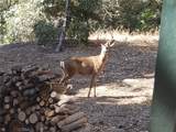 550 Coyote Trail - Photo 4