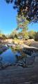 550 Coyote Trail - Photo 5