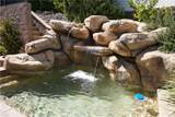22142 Hoofbeat - Photo 43