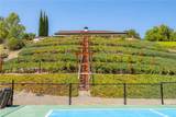 22275 Corte Bonita - Photo 51