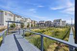 37154 Salt Pond Place - Photo 46