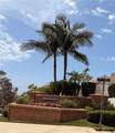 2330 Avenida Marejada - Photo 54