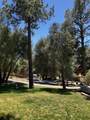 28919 Deer Creek - Photo 10