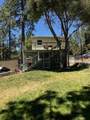 28919 Deer Creek - Photo 11