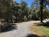 28919 Deer Creek - Photo 13