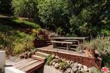 1149 Old Topanga Canyon Road - Photo 13