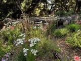 1149 Old Topanga Canyon Road - Photo 37