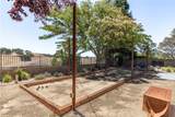 915 Vista Cerro Drive - Photo 53
