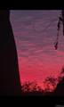 110 2nd Avenue - Photo 5
