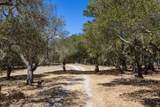 25600 Via Malpaso - Photo 6