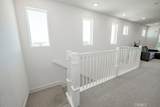 27544 Feathery Cassia Way - Photo 13