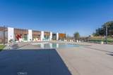 27544 Feathery Cassia Way - Photo 34