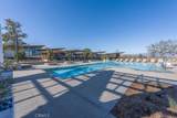 27544 Feathery Cassia Way - Photo 37