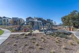 27544 Feathery Cassia Way - Photo 43