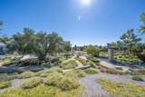 27544 Feathery Cassia Way - Photo 45