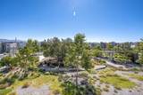 27544 Feathery Cassia Way - Photo 46