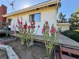 1005 Condor Court - Photo 13