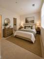 1233 Calle Pomelo - Photo 11