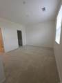 1233 Calle Pomelo - Photo 12