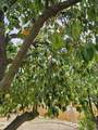 18218 Paradise Mountain Road - Photo 23