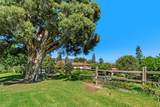 5369 Algarrobo - Photo 35
