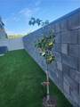 1016 Citron Rd. - Photo 33