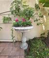 55 Fleurance - Photo 8