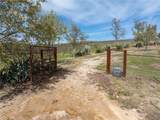 1375 Grana Place - Photo 43