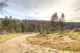 13460 Adrian Drive - Photo 3