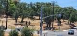 0 Olive Hwy - Photo 1