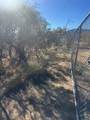 40570 Elm Brush Trail - Photo 4