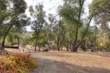 3692 Manzanita Road - Photo 58